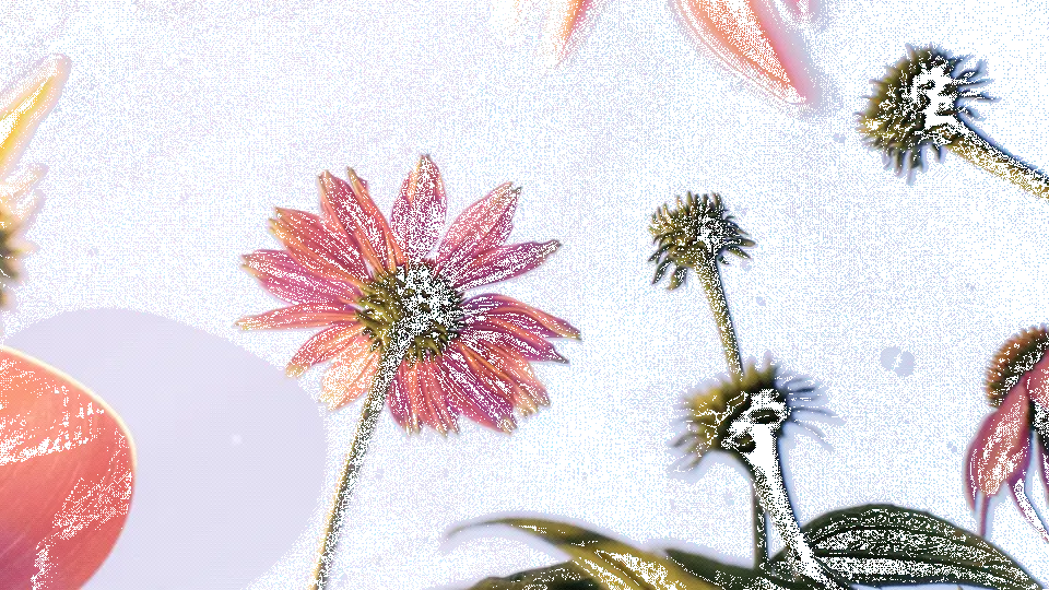 Kaffee-Tee-Laden -Kaffee-Tee-Laden 84ae13160973941.63bda91fc633d