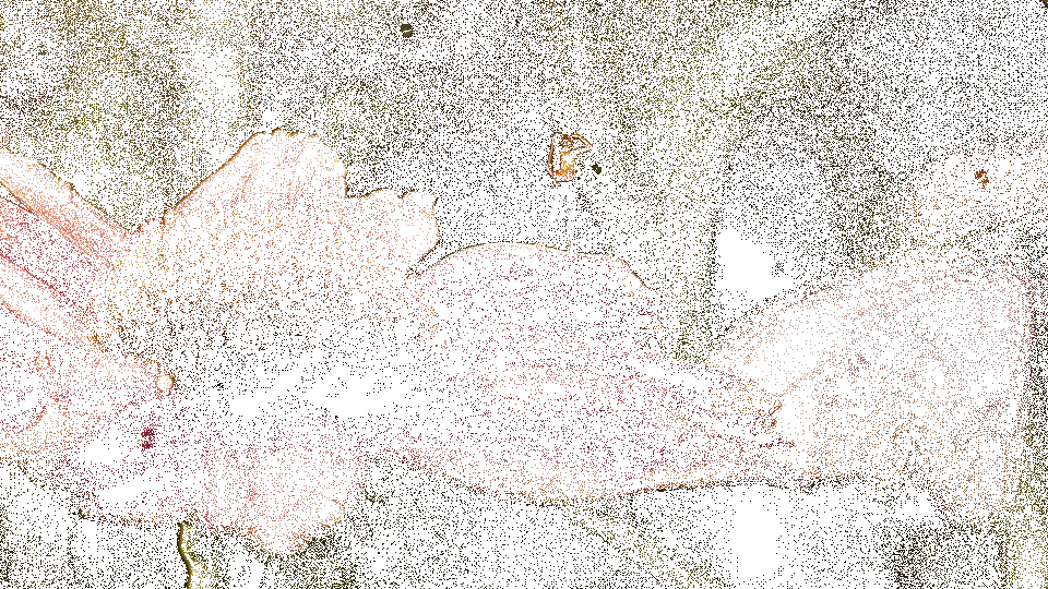 Kaffee-Tee-Laden -Kaffee-Tee-Laden bde36b160973941.63bda91fc6ee5