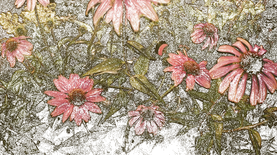 Kaffee-Tee-Laden -Kaffee-Tee-Laden d70963160973941.63bda91fc33be